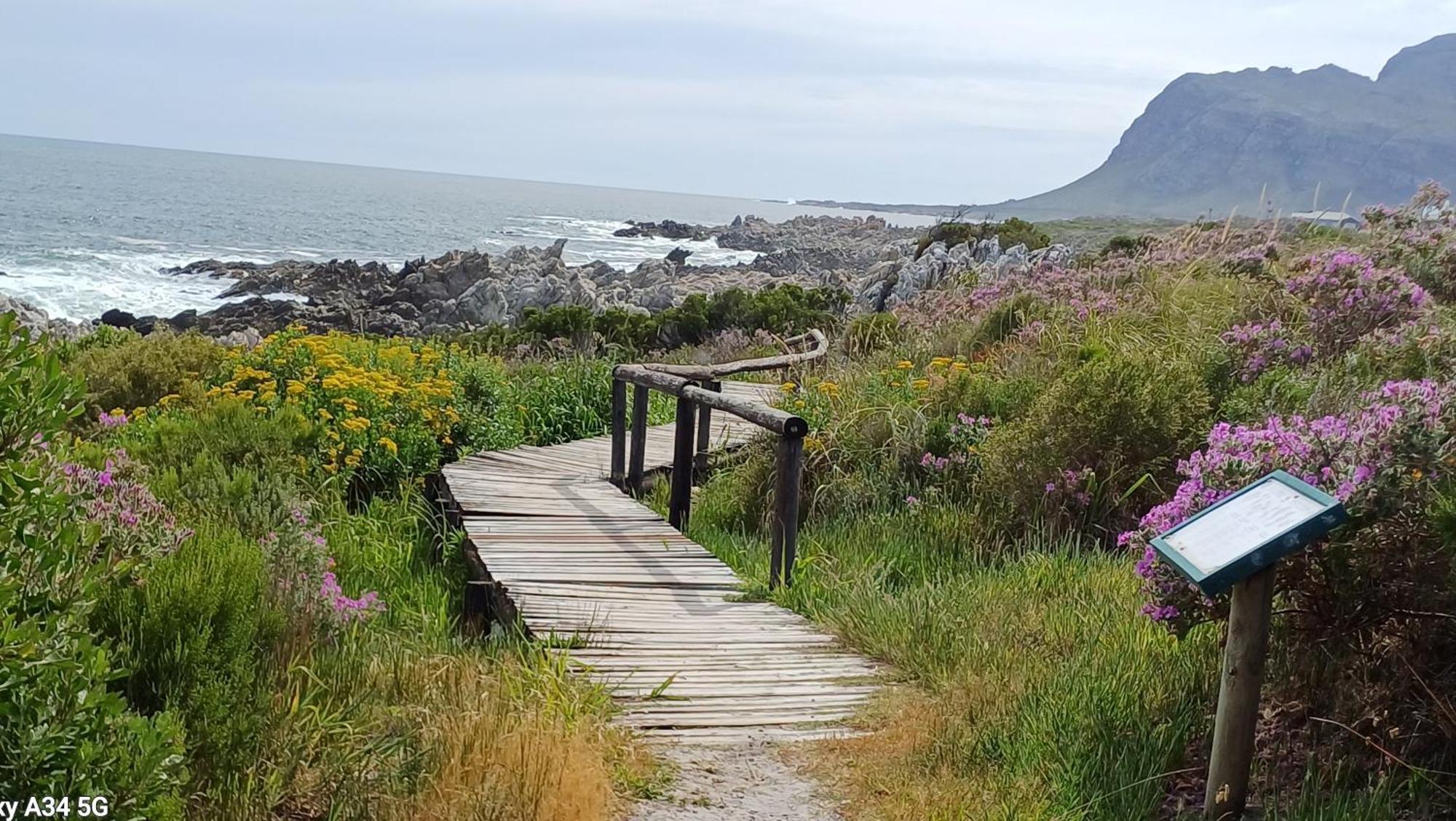 Kleinmond Panorama Holidays Eksteriør billede